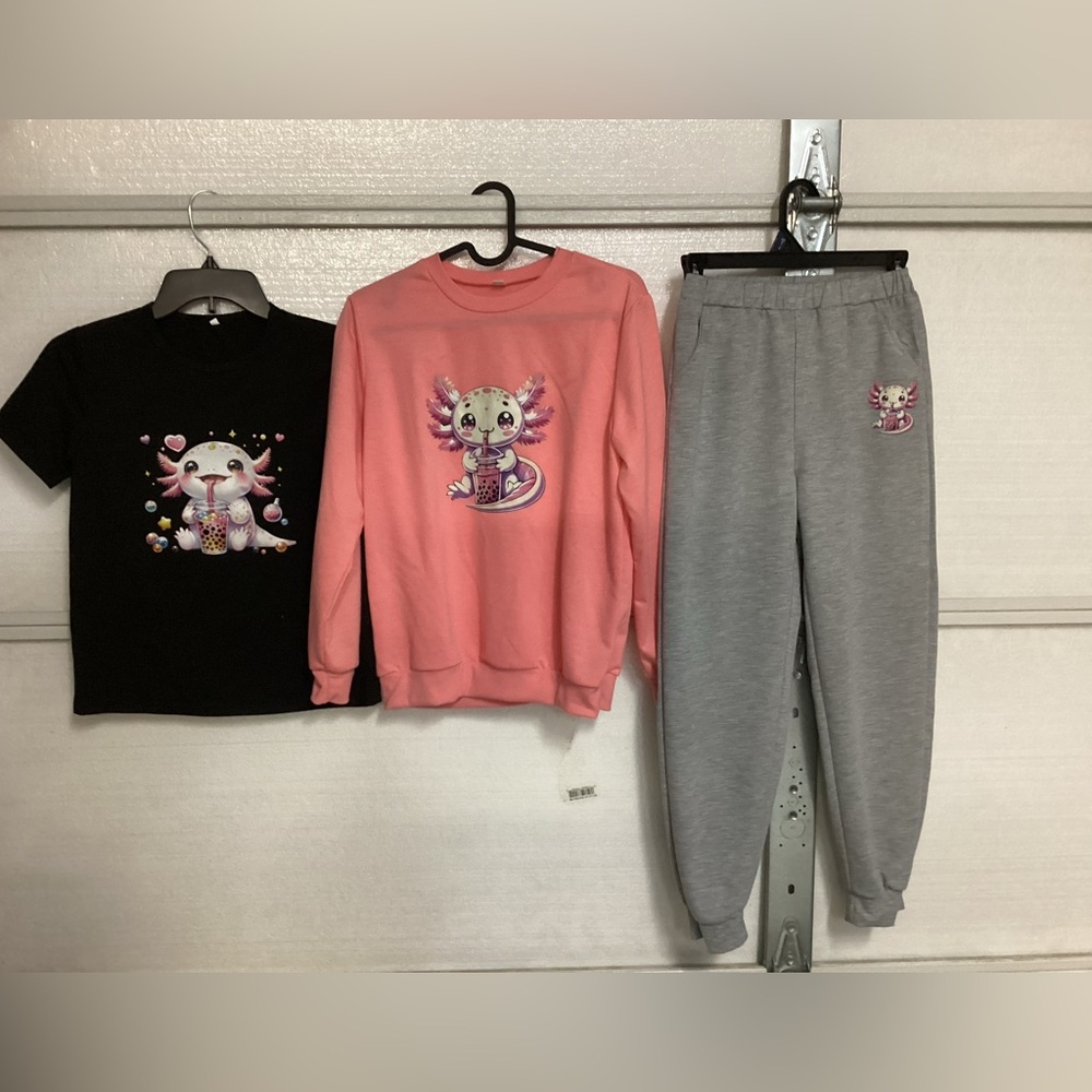 Sweatshirt, sweatpants, and T-shirt girls size 11/12